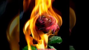 "Любить нельзя забыть"