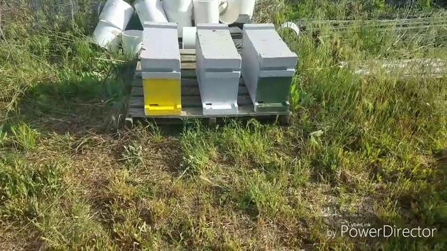 Пчёлы. Пасика. Река возле дома. смотреть онлайн