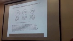 Гипоксическая тренировка против старения