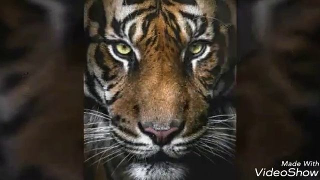 Бандиты 90-х смотреть онлайн