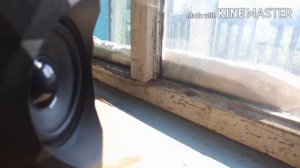 Флекс динамика и пассивного излучателя