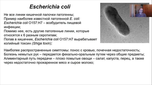 Лекция 9. Промышленное использование микроорганизмов.