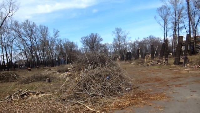 ГРУШИ И СЛИВЫ В СИБИРИ...иподромный лесоповал..11 и 12 школа..дмитрий яковлевич в фотокружке... смотреть онлайн