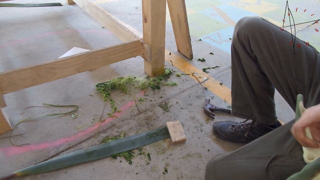 Como obtener fibra de agave - How to get Sisal fiber смотреть онлайн