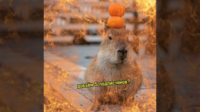 Добьём?