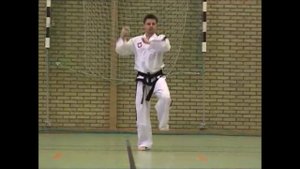 По-Ун (Po-EunTul-Taekwondo techniques )