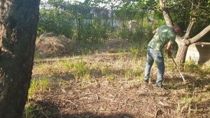 На Заброшенной даче уборка участка