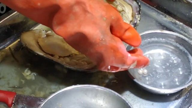 НАСТОЯЩИЙ ЖЕМЧУГ НА О.ХАЙНАНЬ, БУХТА ДАДУНХАЙ. РАКУШКИ С ЖЕМЧУГОМ НА РЫНКЕ