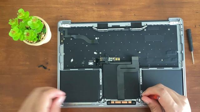 How To Change, Replace, or Clean Your MacBook's Trackpad in Minutes ? смотреть онлайн