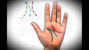 Буква "М" на ладони - особый знак. Какую судьбу он предвещает?