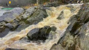 СНОВА ОСЕНЬ