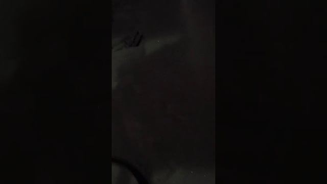 Сделали с друзьями снежную базу смотреть онлайн