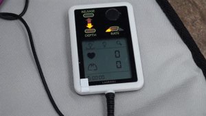 Манекен-тренажер «Оживленная Анна»