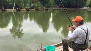 Клёв карпа в Р.К. Фишка Липки