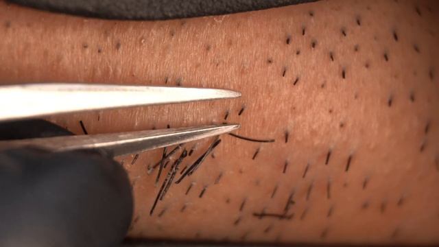 Супер высокое качество изображения, пинцет, ASMR,20210423 смотреть онлайн