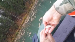 ловля щуки на кружки 2019