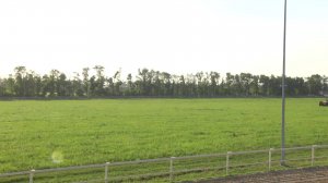 6 скаковой день - Скачки на Павловском ипподроме