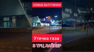 ТРЦ Лайнер Утечка газа  в ЖК Новые Ватутинки Новая Москва / Новостройки Москвы