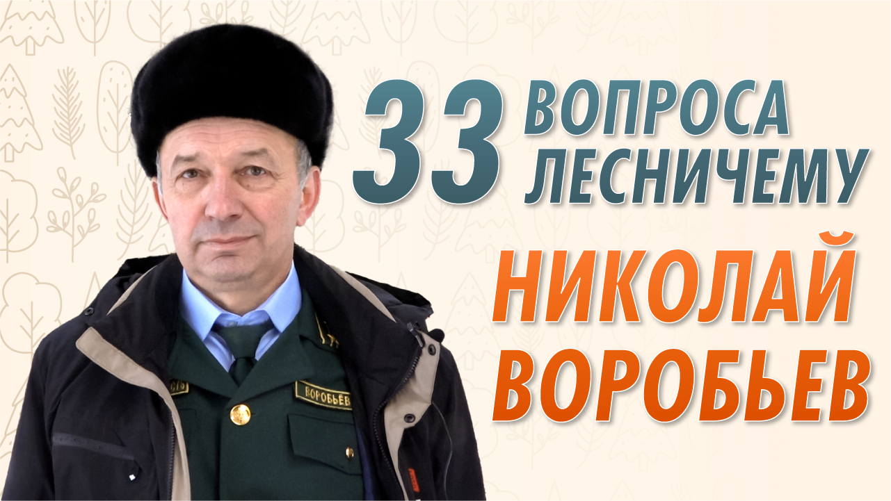 33 Вопроса профессионалу - Лесничий