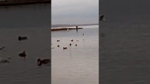 На Первом озере Челябинск