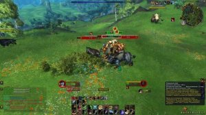 Эластичная Кожа Соло Заработок Золота WoW Dragonflight | Голдфарм