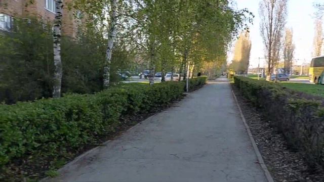 Тольятти. ул.Юбилейная. Гуляю с чихуахуа Дени и Арни. Май. смотреть онлайн