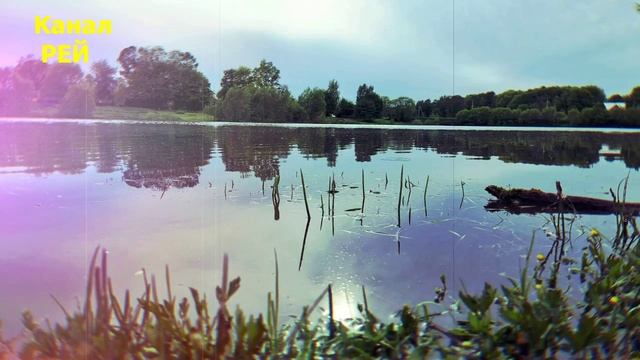 Котик Рыбак