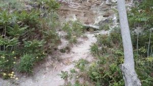 Пятигорск, дорога вдоль горы Горячей, 24 мая 2022 года.