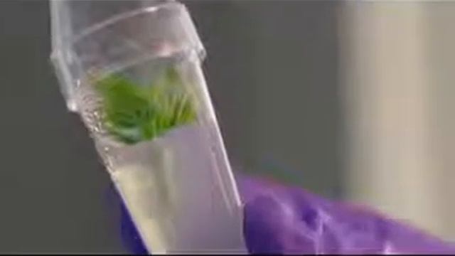 Косметика Орифлейм - качество и надежность. Институт исследования кожи Орифлэйм Low, 360p