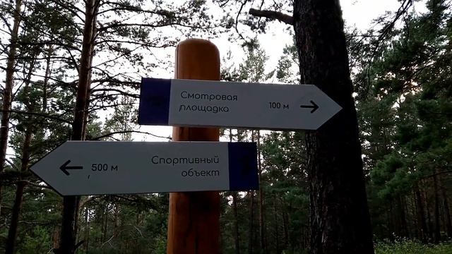 Эко-парк "Гремячая грива", прогулка. Красноярск, август 2020г