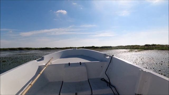 Рыбалка в Приморье! Ловля змееголова и белого хищника смотреть онлайн