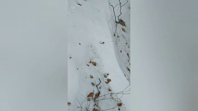 Владивосток недостроенное придаточное укрепления форта -9 им Князя Рюрика русского острова смотреть онлайн