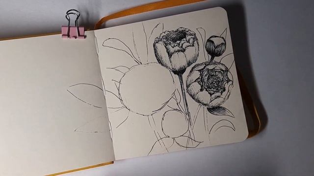 Зарисовка пионов черной гелевой ручкой смотреть онлайн