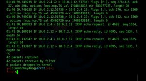 packet capture tutorial using tcpdump