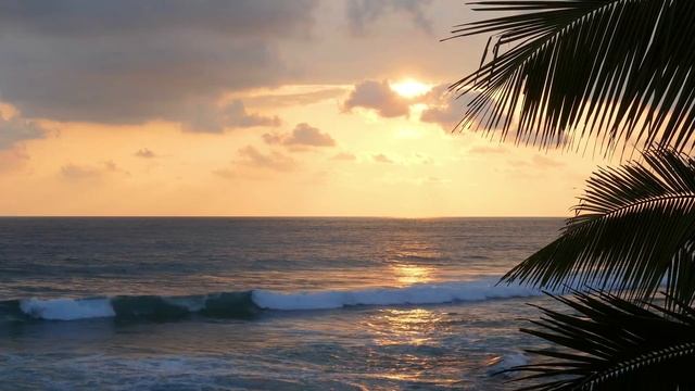 Шум океана / Sound of the ocean (harmony and balance) смотреть онлайн