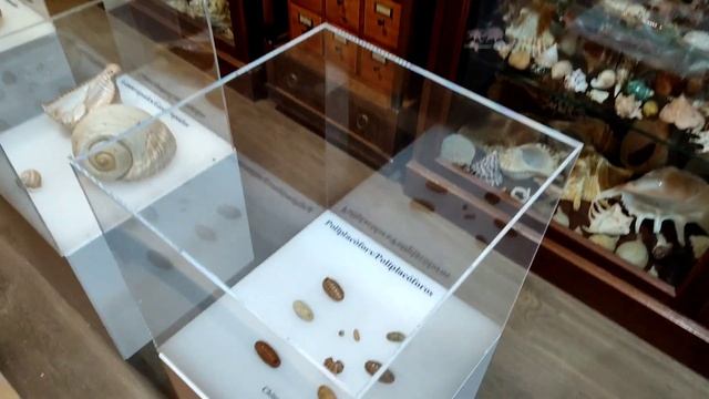 Зимний выходной в Валенсии