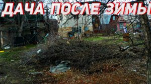 Первый осмотр дачи после зимы!