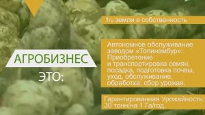 Инвестиции в производство и переработку топинамбура. Проект "Хочу жить на земле"