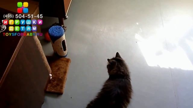 Кот вертихвост и игрушка смотреть онлайн