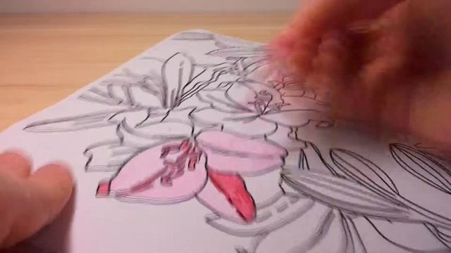 Как нарисовать цветы лилии карандашом смотреть онлайн