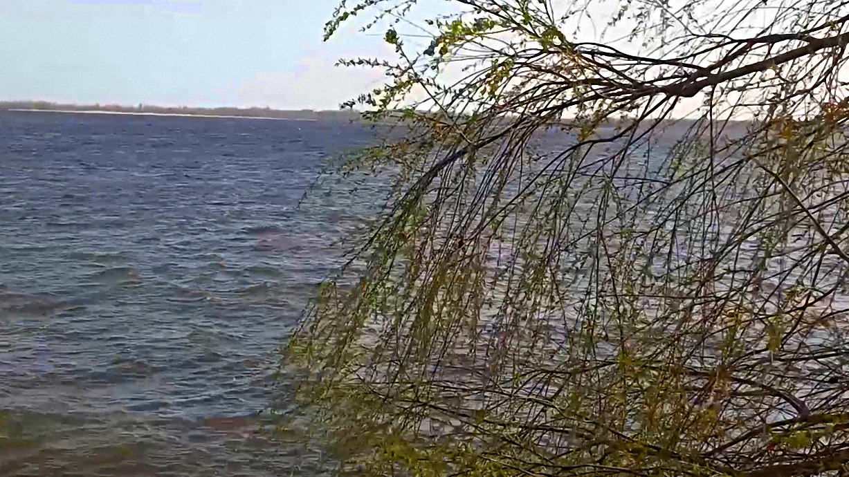 Река Волга весной. Разлив реки Волги страцы.