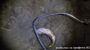 самая лучшая рыбалка на поплавочную удочку на сазана