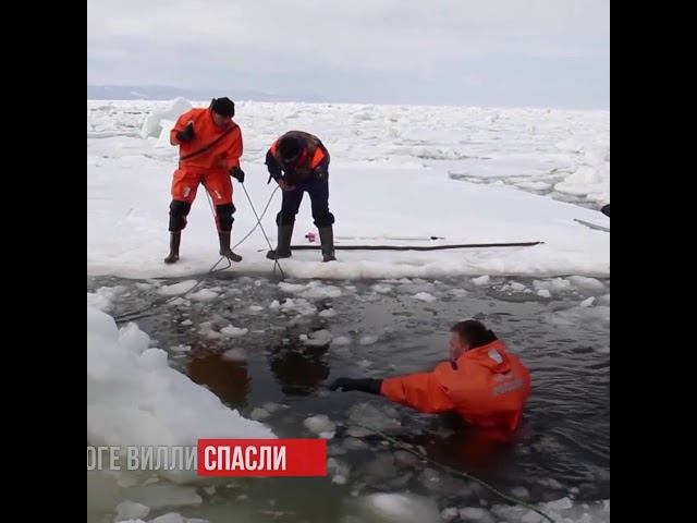 Спасение касаток из ледового плена в японии. Спасение касаток из ледового плена. Ледокол спасение белух из ледяного плена.