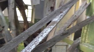 Барская усадьба заброшенная в лесу В поисках золота с Дмитрием Мусихиным