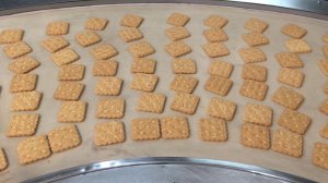 Конвейер поворотный КПЛ-90