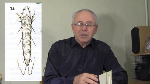 @Начинающему дачнику  Виноградный зудень