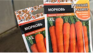 Когда лучше посадить морковь весной В открытый грунт