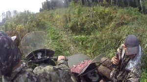 На на мотоцикле Урал в тайгу за опятами