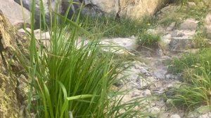 Приэльбрусье 2022. Вторая Часть. Перевал ВЦСПС, Курмычи, Андырчи,  пик 1 мая, Гумачи.