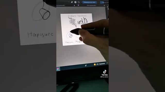 Как нарисовать разные виды цветов ?